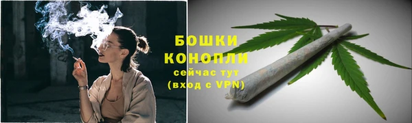 спайс Рославль