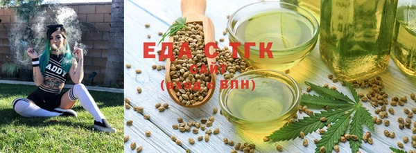 индика Магас