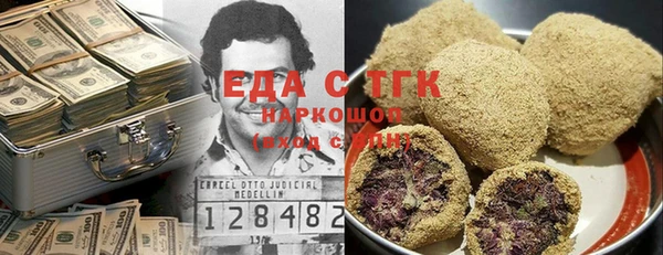 индика Магас