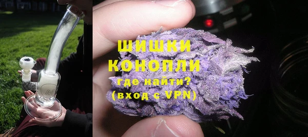шишки Бородино
