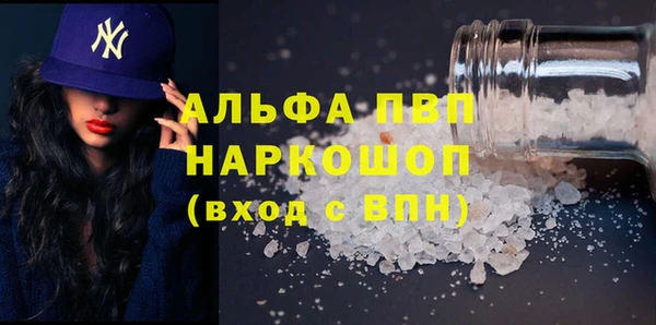 индика Магас