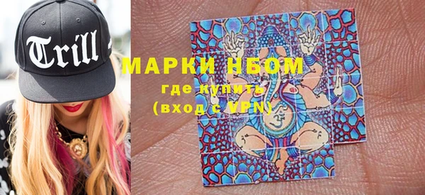 индика Магас