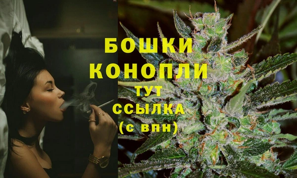 индика Магас