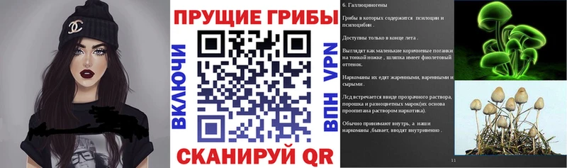 Псилоцибиновые грибы GOLDEN TEACHER  Лысково 